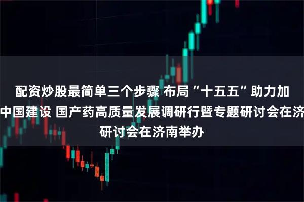 配资炒股最简单三个步骤 布局“十五五”助力加快健康中国建设 国产药高质量发展调研行暨专题研讨会在济南举办