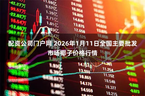 配资公司门户网 2026年1月11日全国主要批发市场椰子价格行情